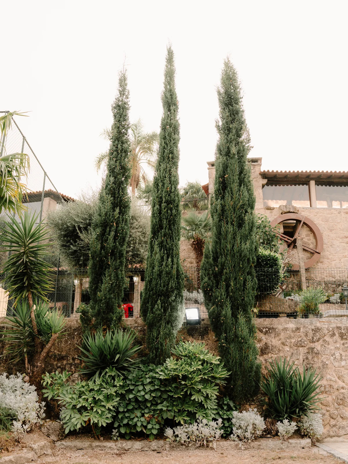 Fragmento 11 dos jardins e espaços da Quinta do Ribeiro