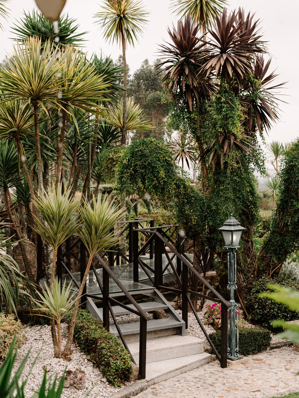 Fragmento 14 dos jardins e espaços da Quinta do Ribeiro